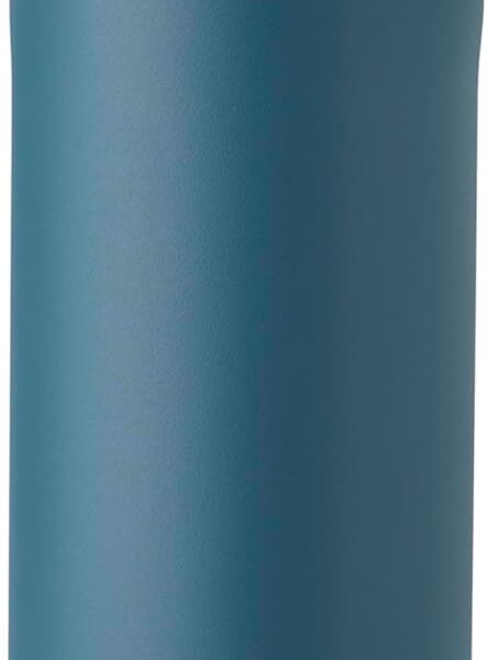 Owala FreeSip Insulated Stainless Steel Water Bottle (24oz)